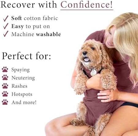 BellyGuard Dog Surgery Recovery Suit, Male Female After Spay Neuter Onesie