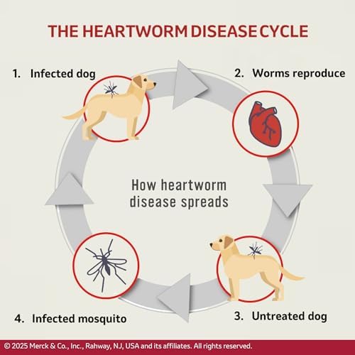 TRI-HEART PLUS Chewable Tablet for Dogs, 51-100 lbs (Brown Box), 6 Chewable Tablets, 6-Month Supply