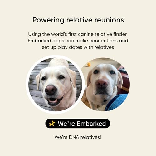 Embark Breed & Health Dog DNA Test – 400+ Breeds, 270+ Health Risks