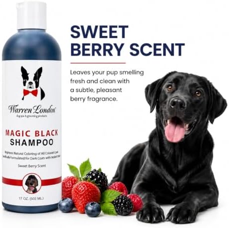 Warren London Magic Black Dog Shampoo – Brightening Shampoo for Dark Coats, Berry Scent, Puppy & Cat Safe, Made in USA, 17 oz