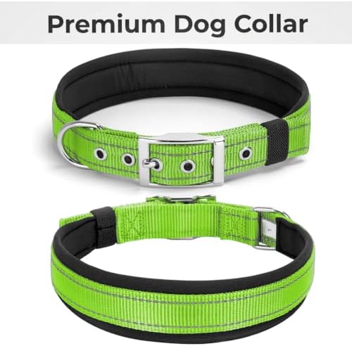 Reflective Dog Collar for XLarge Dogs Wide Padding 6 Holes Adjusta