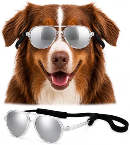G010 Dog Pet Costume Aviator Sunglasses for Medium Breeds 18-40 lbs (2-Pack Black + Clear-Mirror, uv400)