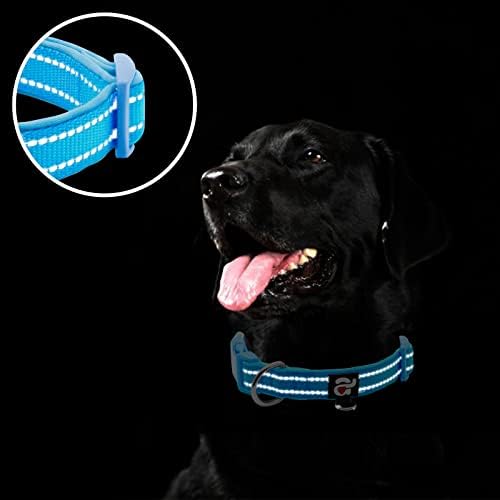 azuza Reflective Dog Collar, Neoprene Padded Small Dog Collar, Blue, S