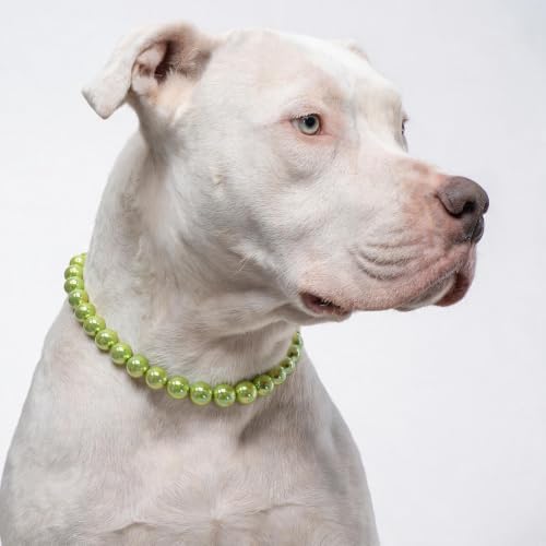Iridescent Green Beaded Dog Collar, Fashion Pet Necklace for Large Dog