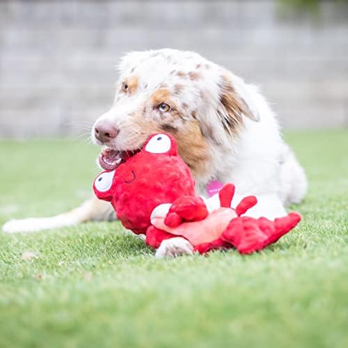 Huxley & Kent Slappies Plush Dog Toy, Claude Lobster, Small