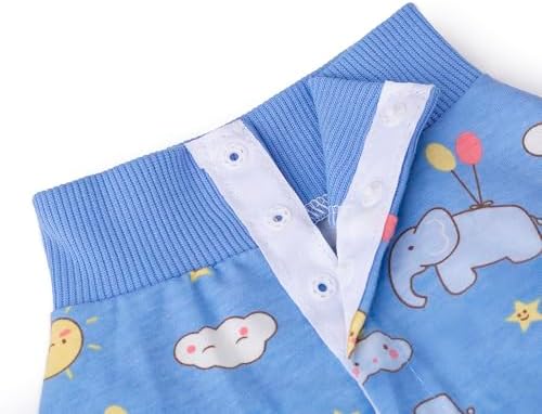 2 Packs Pet Dog Recovery Onesie Suit for Dogs Cats After Surgery,Dog Abdominal Wounds Bandages Cone E-Collar Alternative. (Blue, XS)