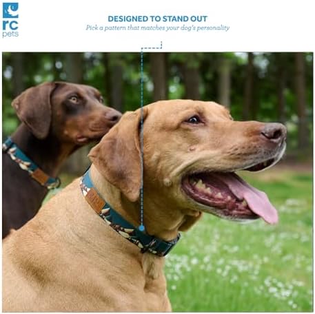 RC Pets Eco Clip Collar | Adjustable, Durable, Earth-Friendly | Medium, 1-Inch, Mystic Monstera