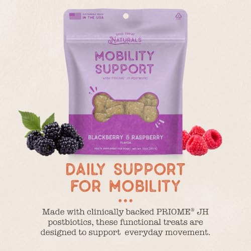Dog Treat Naturals Skin Support Postbiotic Dog Treats 10oz | Dog Supplement for Joint Health, Sensitive Skin, Season Allergies | BlackBerry & Raspberry