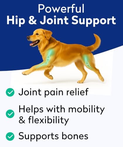 Pawfect Mobility Glucosamine Chews for Dogs - Hip & Joint Health Supplement Chews w/Omega-3, Chondroitin, MSM - Made in USA - Joint Pain Relief - Hip & Joint Care - 120ct