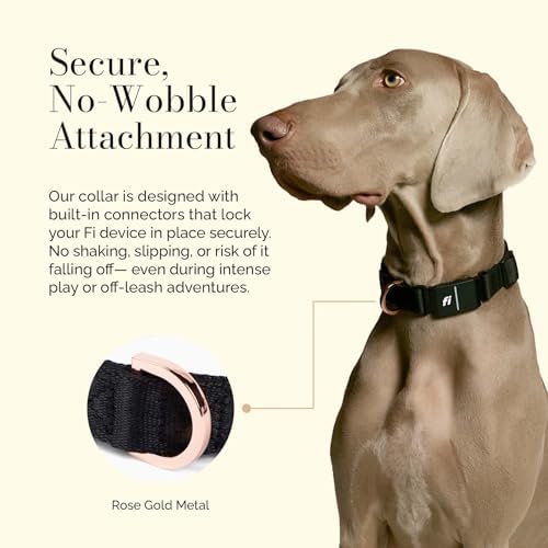 DOGISTRY - The Fi Rockstar Collar - GPS Dog Collar Band - XL