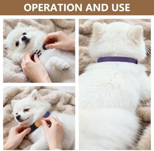 Halloween Polka Dot Cat Collars 2 Pack Adjustable Pet Collar Adjustable 10.6 to 17.1 Inches