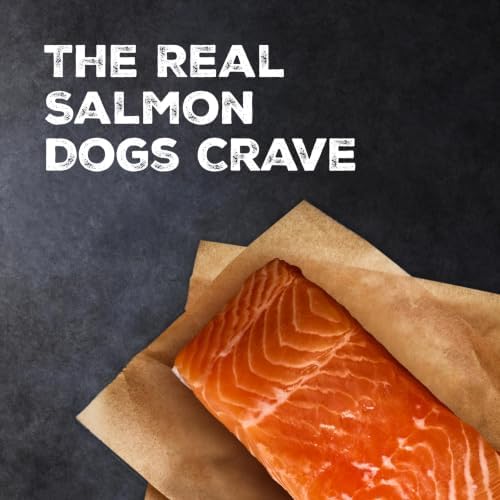 Blue Buffalo Wilderness Wild Bits Salmon Soft & Chewy Dog Treats, 10 oz
