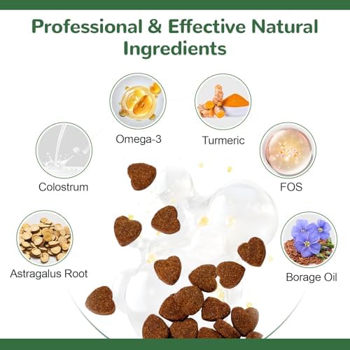 Dog Allergy Relief Chews, Dog Itch Relief Chews for Large Dogs Paw Licking Itchy Skin, Probiotics with Astragalus Omega-3 for Seasonal Allergies Coat Immune Supplement-300ct