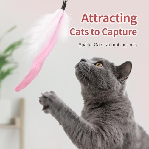 SONGWAY Cat Wand Toys for Indoor Cats - Cat Toy Set with Retractable Teaser Wand and 6 PCS Fairy Feather Toy Refills, Dragonfly Tassel Plush Cat Toys Interactive, Pink