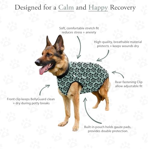 BellyGuard Dog Surgery Recovery Suit, Male Female After Spay Neuter Onesie