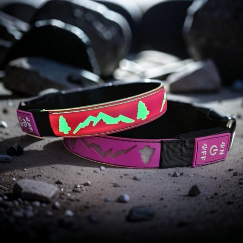 Customlized Name Flashing USB-C led Light up Dog Collar with airtag Holder, Subversive 3D Design Comfortable and Soft Material,Multicolored Lighting (Pink, L(15.7-19.7"))