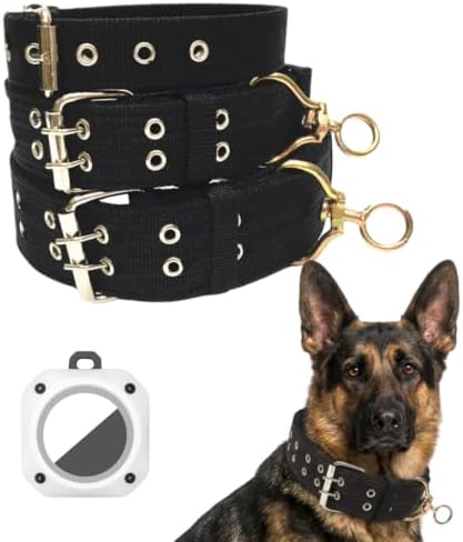 Tactical Heavy Duty Nylon Dog Collar for Large & Medium Dogs - Includes AirTag Compatible Case - Double-Lock Buckle & Reinforced D-Ring (Black, Small: Width = 1.2"; Neck = 11" - 15")