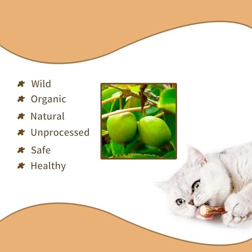 [ 15pcs Silvervine Sticks for Cats, Matatabi Cat Chew Sticks, Catnip Toys, Wooden Dental Sticks for Indoor Cats, Kitty, Kitten Teething Interactive Wand Toys