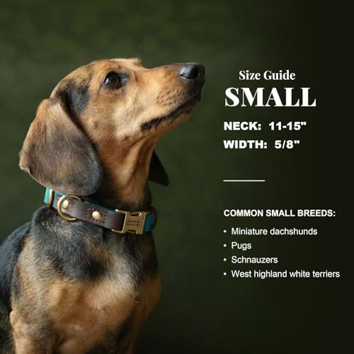 Personalized Dog Collars, Quick Release Buckle, Light Blue,S