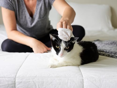 Cat All Purpose Pet WiPees™ – 100 Daily Cat Bath Wipes, All Natural Cat Wipes for Ears, Fur & Folds, Gentle Pet Wipes for Cats, pH-Balanced to Cats Specific Skin & Biome (Calming, 100ct)