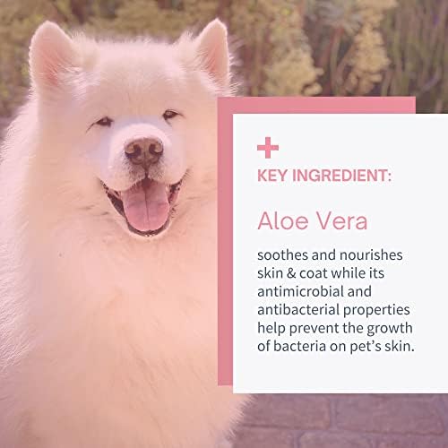 Tear Stain Remover Eye Wipes for Dogs & Cats, Cleans Eye Boogers and Gunk Discharge, Facial Cleansing with Aloe Vera (Fragrance Free)