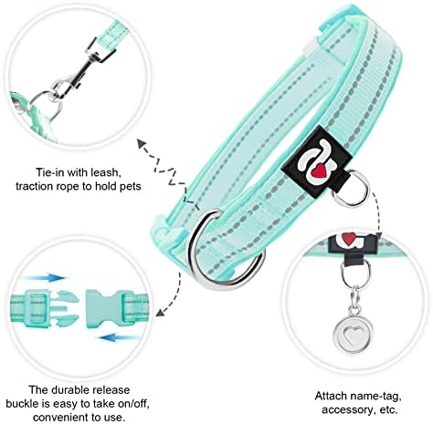 azuza Airtag Dog Collar, Medium Dog Collar with Airtag Holder, Teal, M