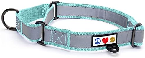 Pawtitas Personalized Dog Collar Martingale Dog Collar with Name Phone Number Reflective Martingale Dog Collar Customized Collar for Large Dogs | Teal Custom Dog Collars for Large Dogs