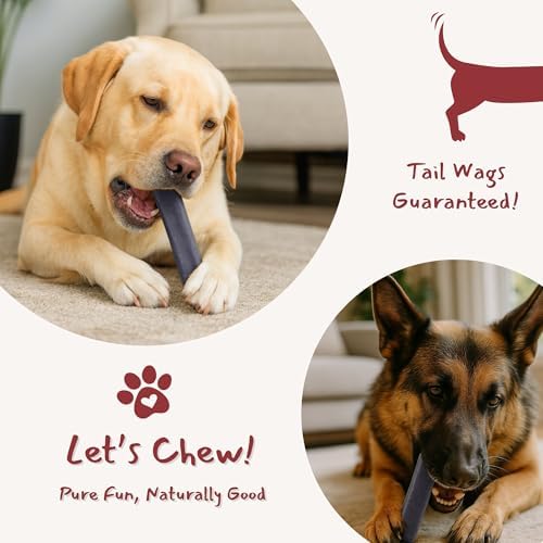 Majestic Pet Himalayan All-Natural Cheese Dog Chews - Long Lasting Dental Chew for Dogs - Healthy Pet Treats with Beneficial Ingredients (Cognitive Support & Vitality, Large, 1 Pack)