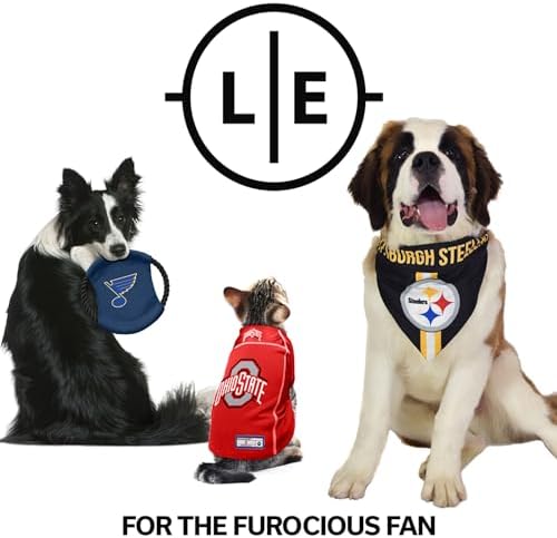Littlearth NFL Atlanta Falcons Sock Monkey Pet Toy, Team Color, One Size