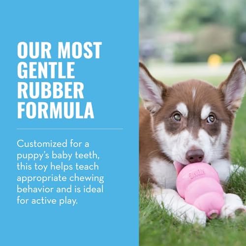 KONG Puppy, Natural Rubber Teething Chew Toy, for Small Puppies, Pink