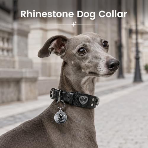 Rhinestone Dog Collar with QR ID Tag, Ostrich-Embossed, Black, L | Crystal Dog Collar with Ostrich-Embossed Texture, Adjustable Waterproof Fit and QR Scan Pet ID for Stylish Daily Wear