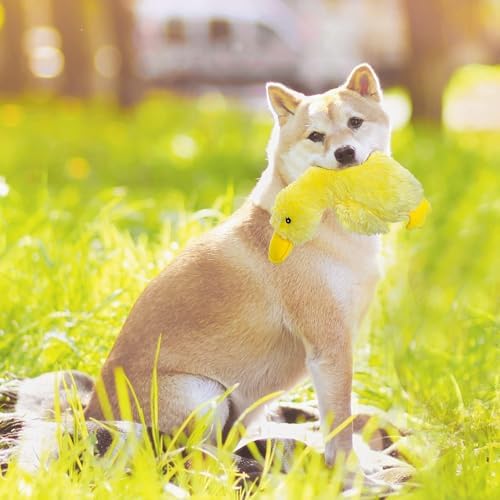 EXPAWLORER Plush Squeaky Duck Dog Toy - Dog Toys to Keep Them Busy, Soft Stuffed Animal, Best Birthday Gift Interactive Filled Chew Toys for Small Medium Dogs Puppy Biting Training Teething, Yellow