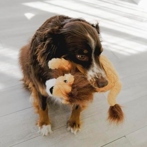 KONG Scampers Wildlife Plush Dog Toy with Low Tone Squeaker (Lion/Red Panda Combo)