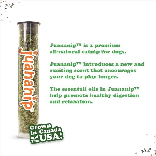 Doggijuana Squirrel & Juananip Bundle | Squeaky Refillable Plush Toy