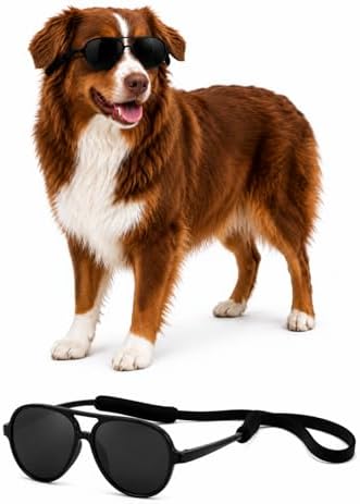 G010 Dog Pet Costume Aviator Sunglasses for Medium Breeds 18-40 lbs (2-Pack Black + Clear-Mirror, uv400)