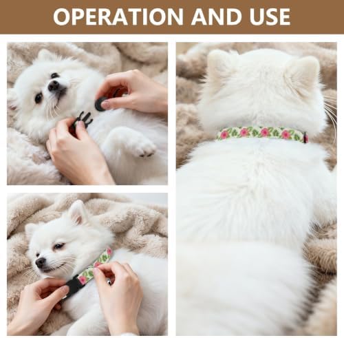 Hibiscus Flowers Tropical Palm Leaf Cream Adjustable Buckle Pet Collars 2 Pack Cat Neck Collar