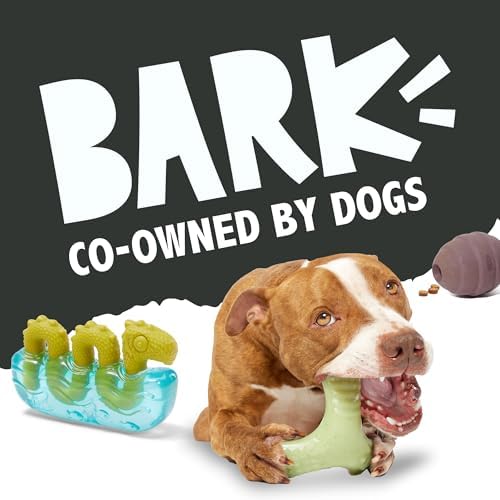 BarkBox Drac Casket Dog Toy – Treat Dispensing, Natural Rubber, Wacky Bounce, Dishwasher Safe, Perfect for Drac Snacks - Dog Chew Toy for Medium Dogs