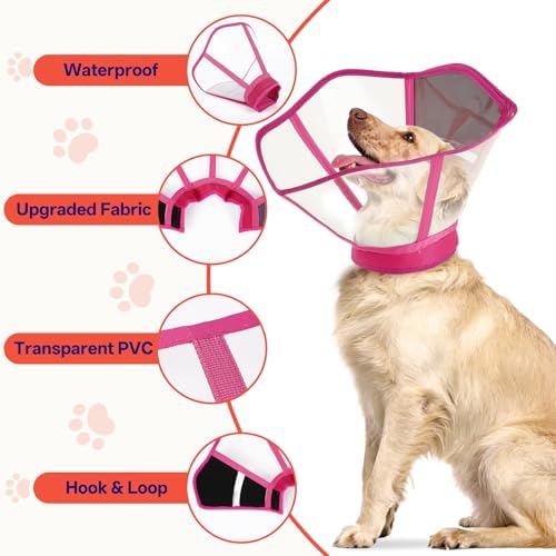 Foldable Dog Cone Collar - Adjustable Comfort Elizabethan Recovery Collar, Transparent Waterproof E-Collar for Dogs After Surgery to Stop Licking Scratching, Rose Red, M