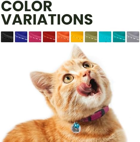 BRONZEDOG Cat Collar with Bell Kitten Rolled Leather Collars Safety QR ID Name Tag (Black Midnight)