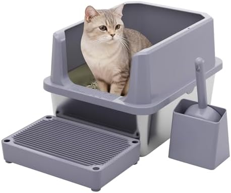 RIZZARI Cat Litter Box Non-Porous: Open High Sides for Indoor Cats