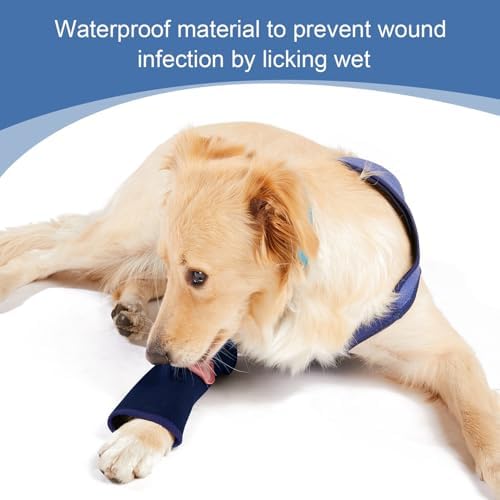 Coodeo Dog Recovery Suit, Cone Collar Alternative, Abrasion Resistant Dog Recovery Sleeve, Washable 2.5mm Thick and Waterproof, Pet Wounds Prevent Licking, Bite, Keep Dry（Purple，2XL