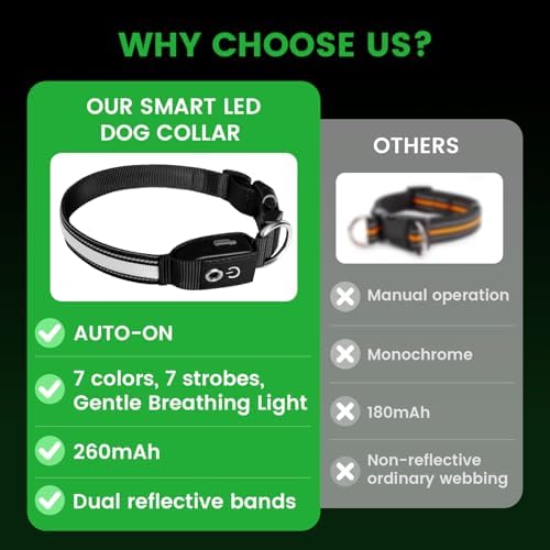 Auto Light Up Dog Collar - Smart Safety Night Collar with Motion Sensor - Auto-On in Dark - USB-C Rechargeable - 3 Day Runtime- IP65 Waterproof (L 20-24")