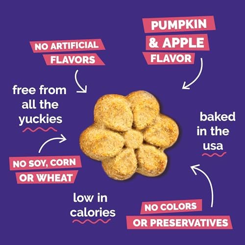 Fruitables Baked Dog Treats, Healthy Pumpkin Treat for Dogs, Low Calorie & Delicious, Made Without Wheat, Corn and Soy, Made in the USA, Allergy Friendly, Pumpkin and Apple Flavor, 32 oz