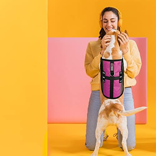 Dogline ESA Vest Patches – Removable ESA Patch 2-Pack with Reflective Printed Letters for Support Therapy Dog Vest Harness Collar or Leash Size A (1" x 2.75")