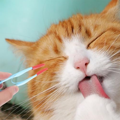 Mikikit 2pcs Pet Tear Brush and Dog Eye Comb Brush, Soft Bristles, Ergonomic Small Grooming Tool for Cats and Dogs, Blue and Pink, Eye Area Cleaning for Removing Tear Stains and Debris