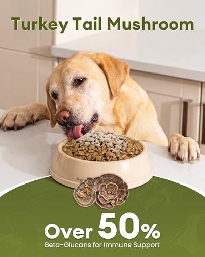 Turkey Tail Mushroom for Dogs, Supports Immunity & Health, 70g