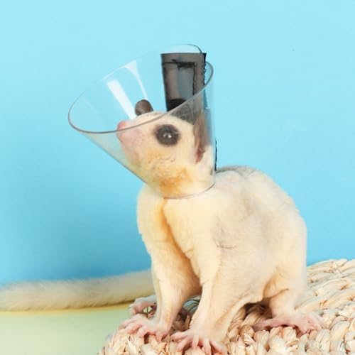 Sugar Glider Recovery Cone - Adjustable Protection Collar Soft Recovery Collar for Rat Bird Hamster Rabbit Guinea Pig After Surgery Wound Healing Elizabeth Neck E Collar for Small Animal (L (11-14cm))