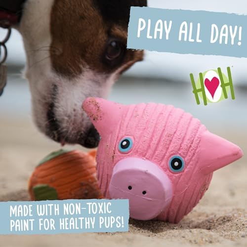 HuggleHounds Assorted Ruff-Tex Latex Ball Dog Toys - Dog Toys Rubber, Puppy Toys, Puppy Essentials, Pool Toy, Heavy Duty Squeaky Ball for Small, Medium & Large Dogs, All Breeds - HuggleMutt 3 Pack