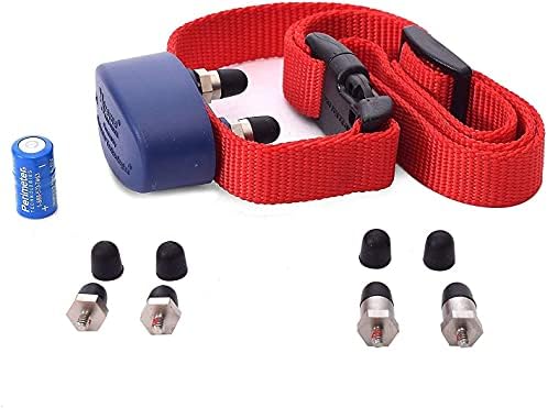 Underground Electric Dog Fence Kit, Standard, 1-Dog, 2000 ft