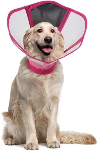 Foldable Dog Cone Collar - Adjustable Comfort Elizabethan Recovery Collar, Transparent Waterproof E-Collar for Dogs After Surgery to Stop Licking Scratching, Rose Red, M